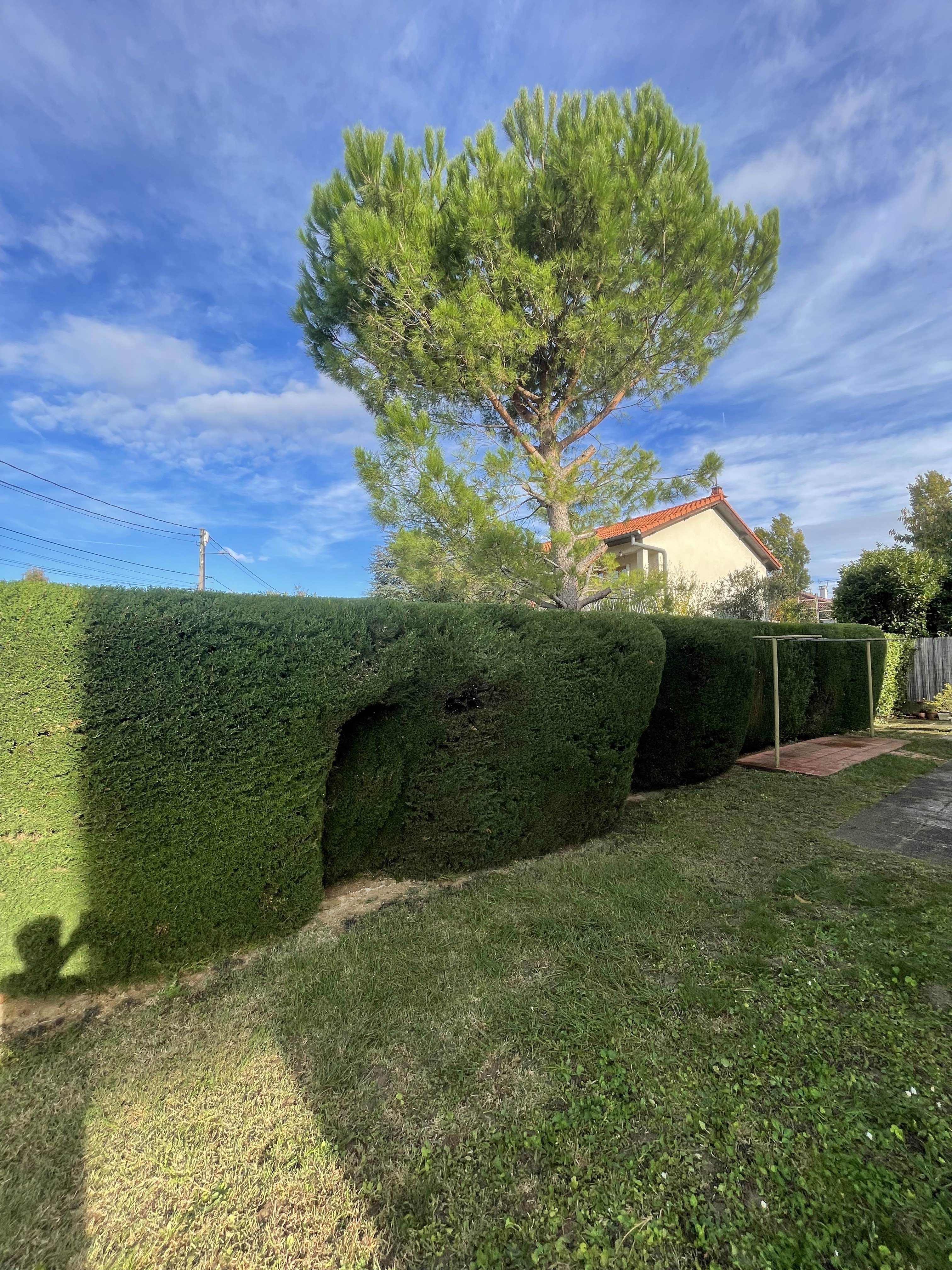Réalisation KHALFA Paysage